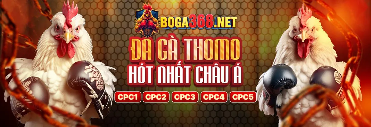Banner khuyến mãi clubv khuyến mãi