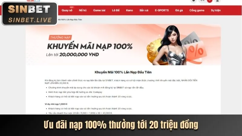 Biểu đồ phân tích các loại khuyến mãi clubv